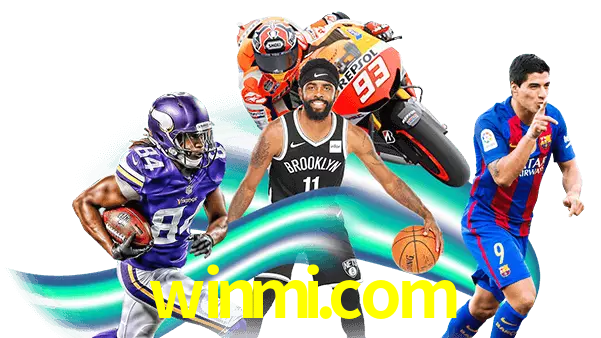 winmi.com